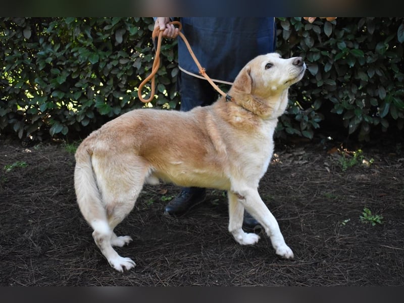 Islay - Menschenherzen-im-Sturm-Eroberer