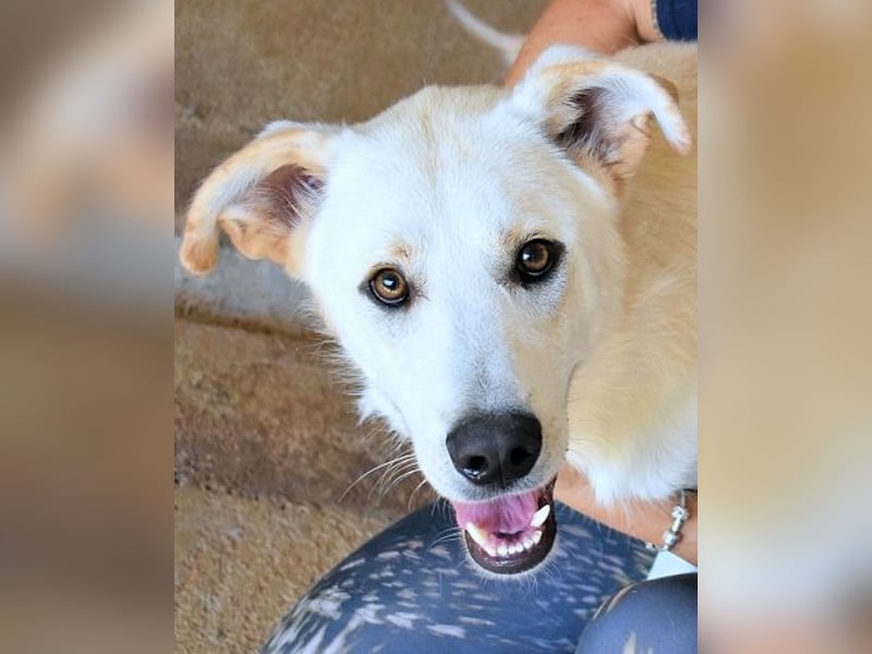 Rurik - Das geheime Feuerwerk