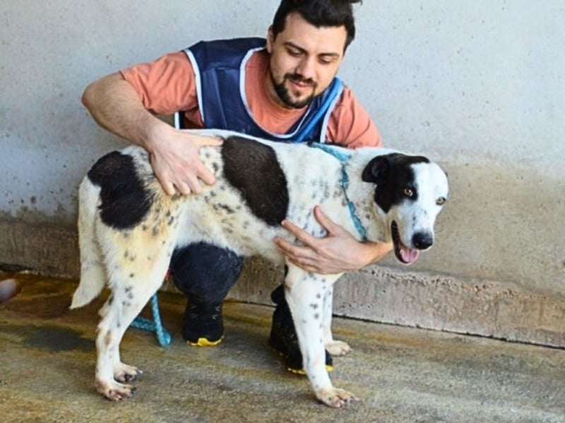 Arleene - Fachkraft für Betonpädagogik