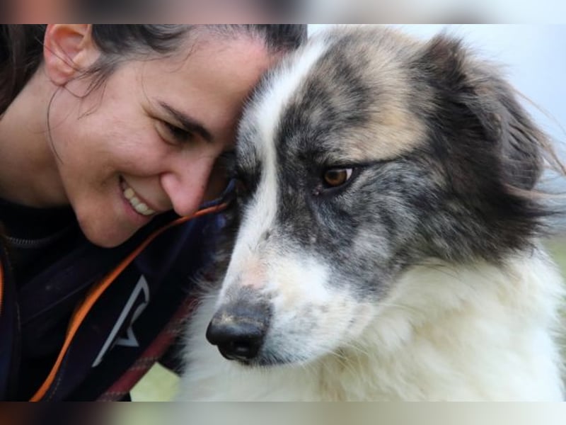 Poncio - wird zum Musterschüler