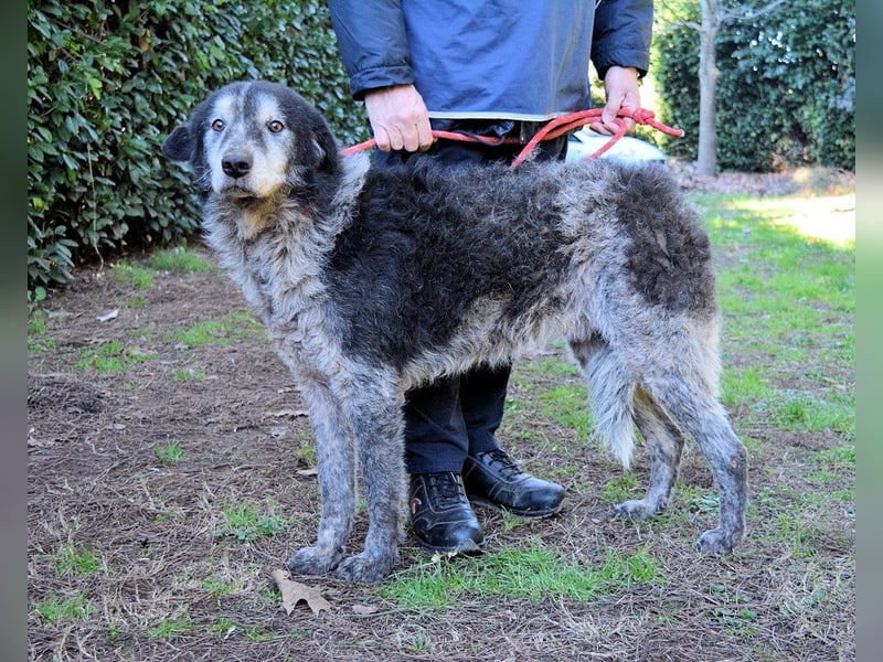 Declan - Irgendwie, irgendwo, irgendwann?