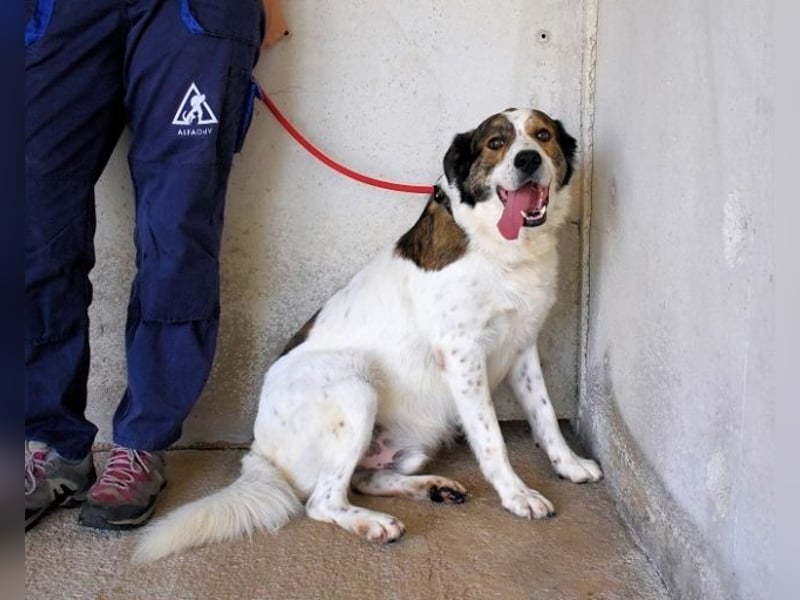 Jontar - Die Geschichte, die keiner liest