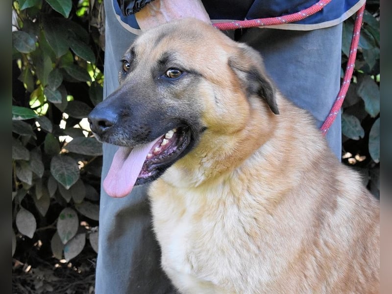 Anthaniel - Groß genug für "Wow" - zu charmant für "Weiter".