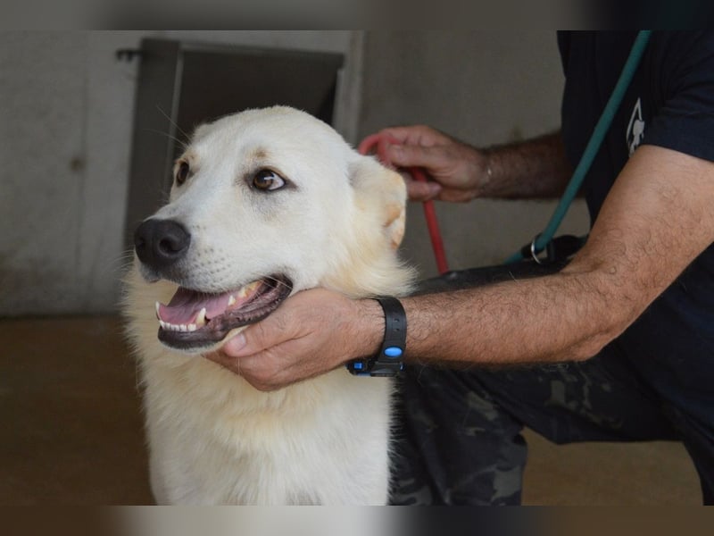 Rurik - Das geheime Feuerwerk