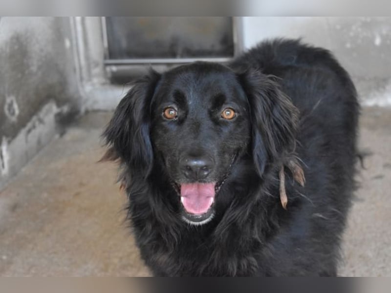 Kael - Nur ein einziges mal die Chance auf Leben