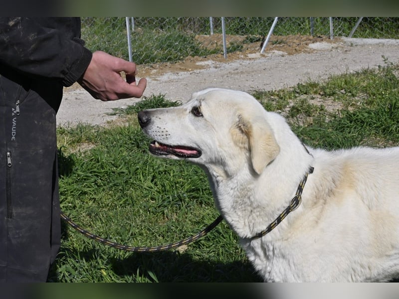 Clara - geht ihren Weg weiter