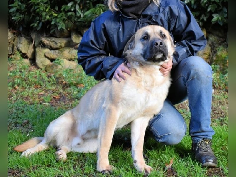 Joonas - wohin führt sein Weg?