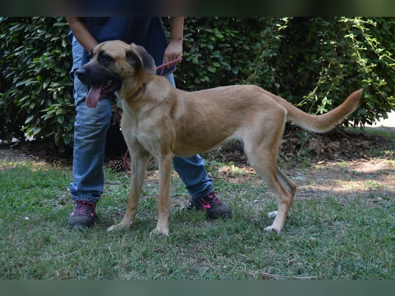 Adhara - Möchte ihre Energie versprühen