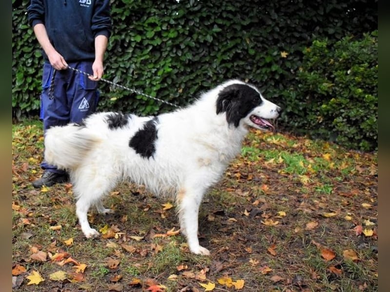 Rezart - Zusammen ist man weniger alleine