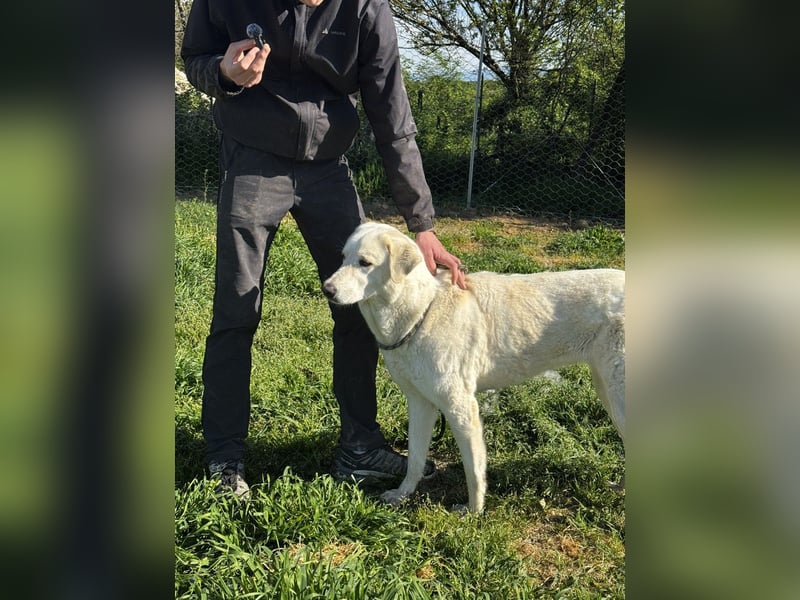 Clara - geht ihren Weg weiter