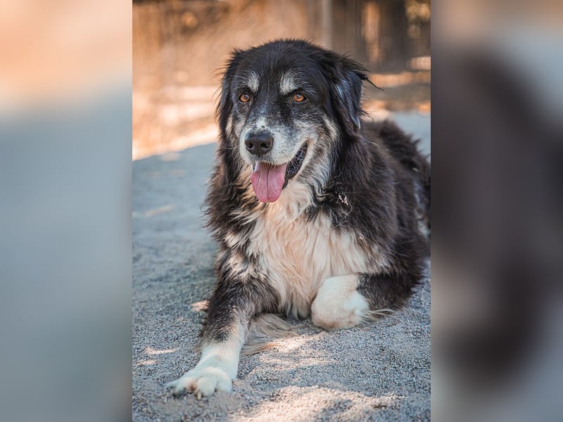 Kuno - Ein Ende in Sicht?