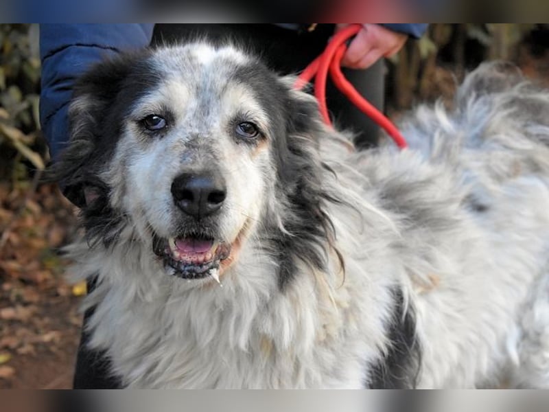 Daiana - der Beginn einer wunderbaren Freundschaft