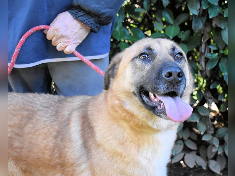 Anthaniel - Groß genug für "Wow" - zu charmant für "Weiter".