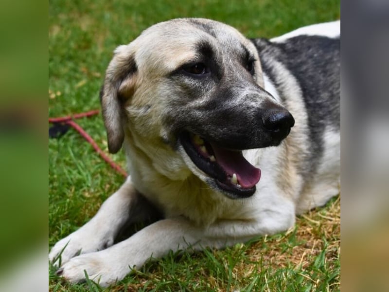 Skitter - Im gedimmten Licht, vor einer geschlossenen Tür