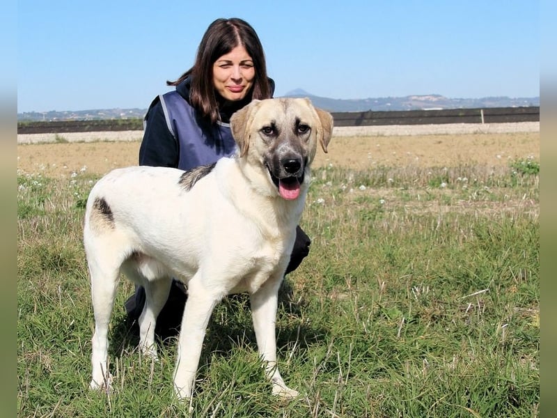 Skitter - Im gedimmten Licht, vor einer geschlossenen Tür