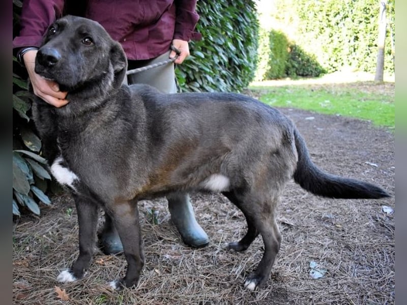 Godfried - When the night has come