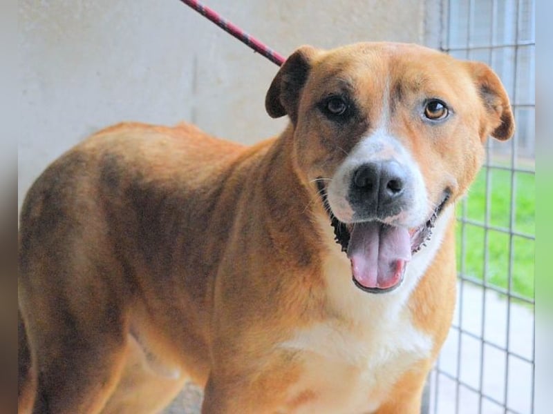 Spielberg - Der Dreh seines Lebens Spielberg - Der Dreh seines Lebens