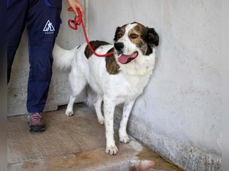 Jontar - Die Geschichte, die keiner liest