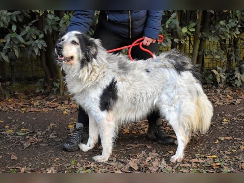 Daiana - der Beginn einer wunderbaren Freundschaft