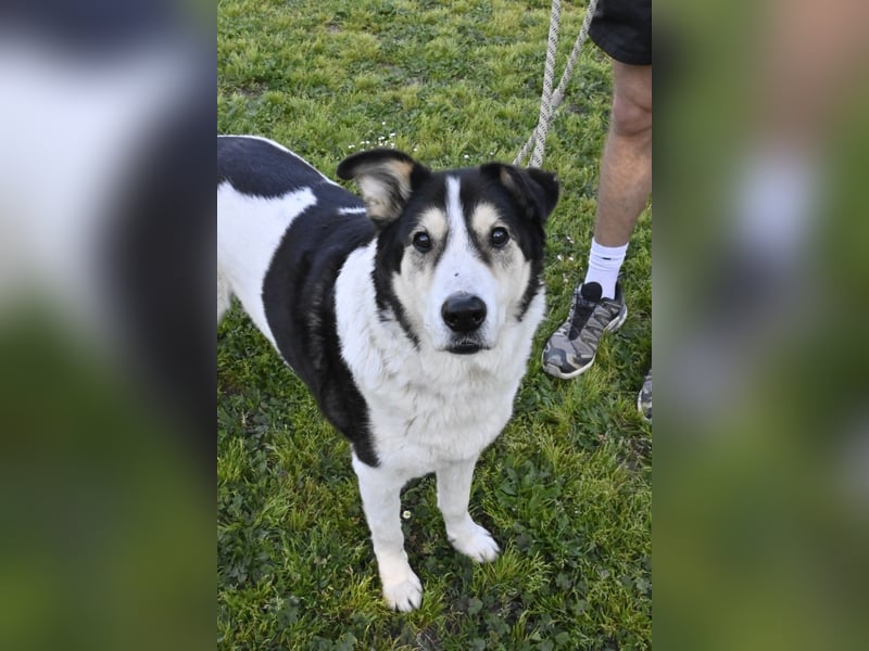 Giangy - Ich hätte da noch Kapazitäten frei