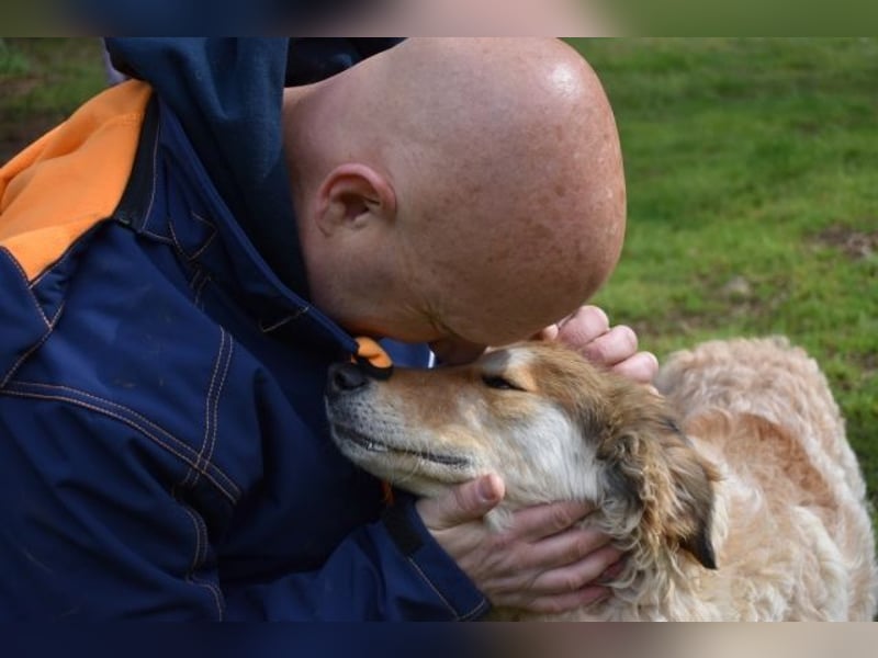 Ligorio - Zwölf, elf, zehn ... eins - Ligorio