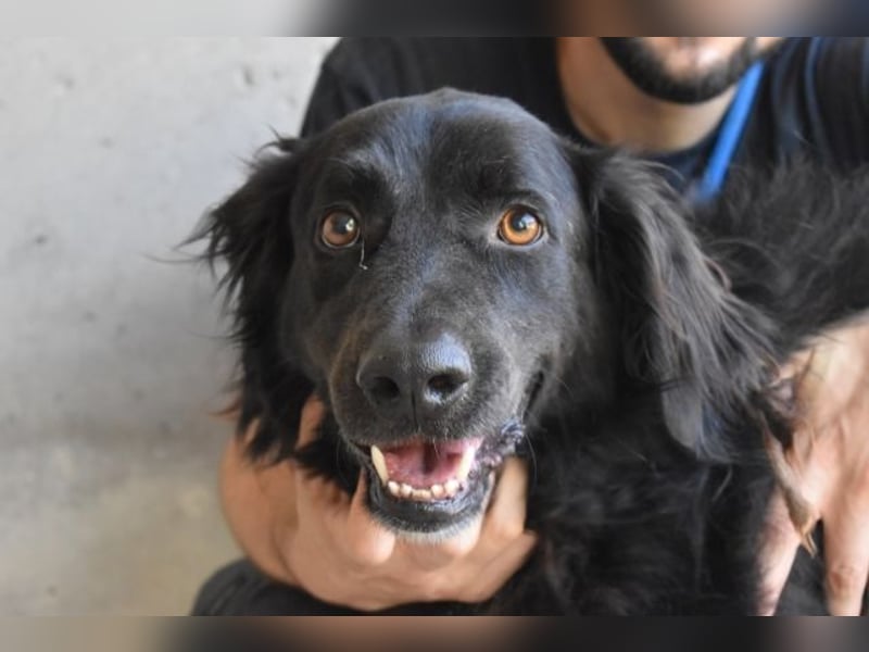 Kael - Nur ein einziges mal die Chance auf Leben