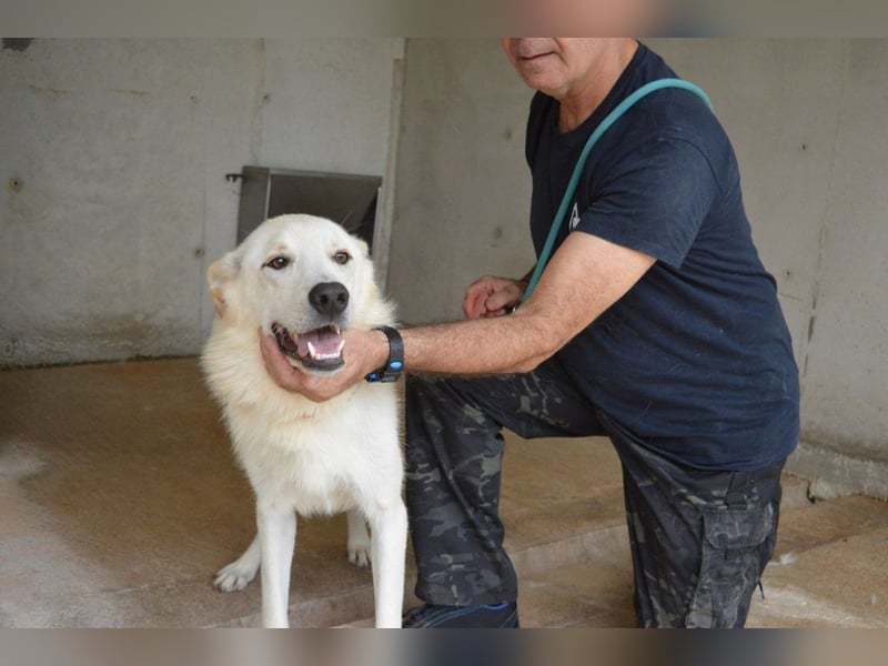 Rurik - Das geheime Feuerwerk