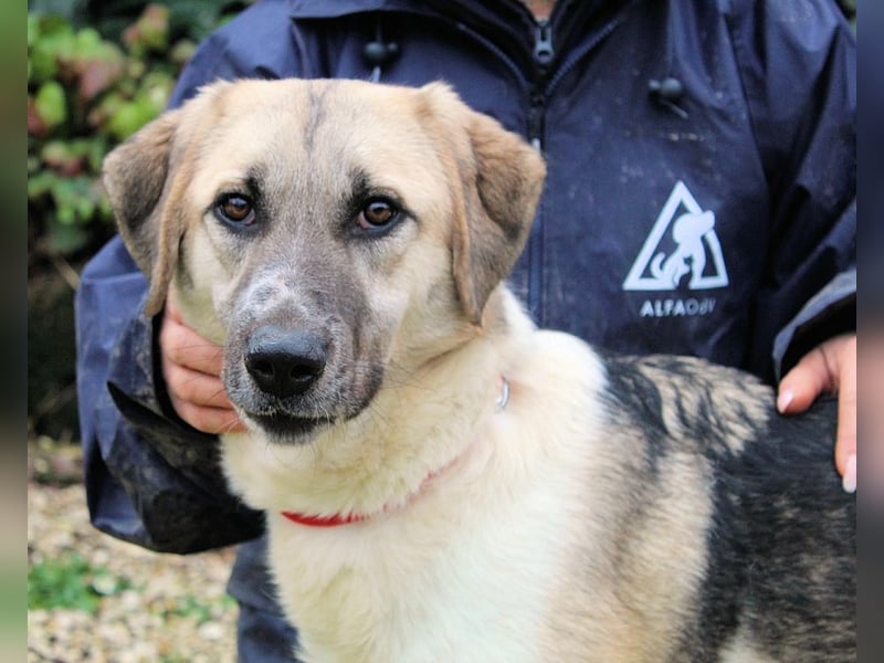 Skitter - Im gedimmten Licht, vor einer geschlossenen Tür