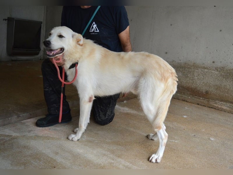 Rurik - Das geheime Feuerwerk