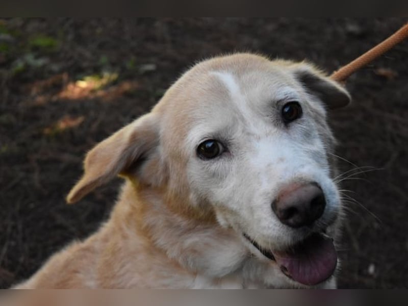 Islay - Menschenherzen-im-Sturm-Eroberer
