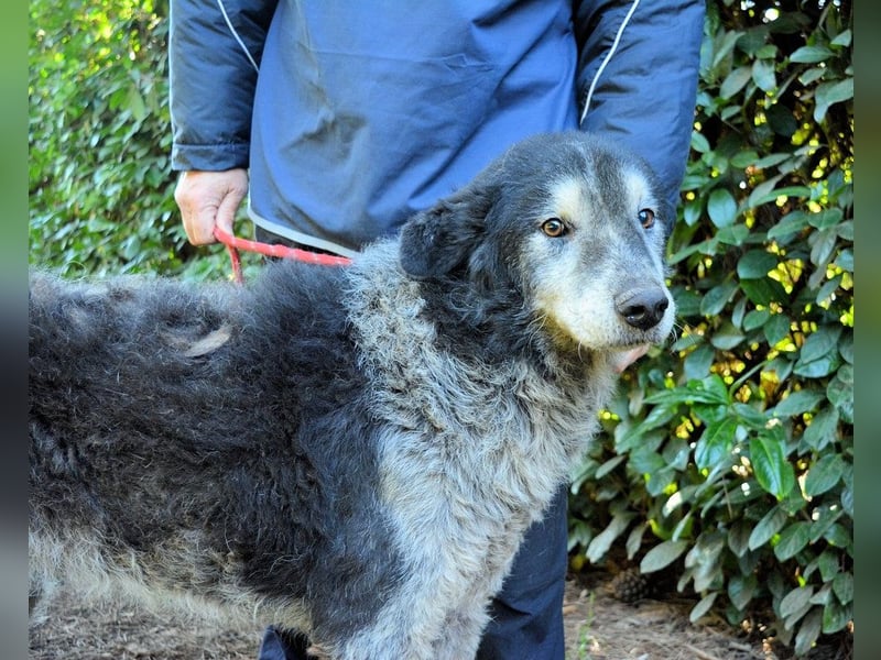 Declan - Irgendwie, irgendwo, irgendwann?