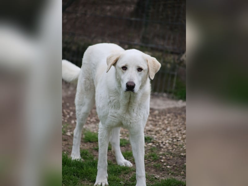 Clara - geht ihren Weg weiter