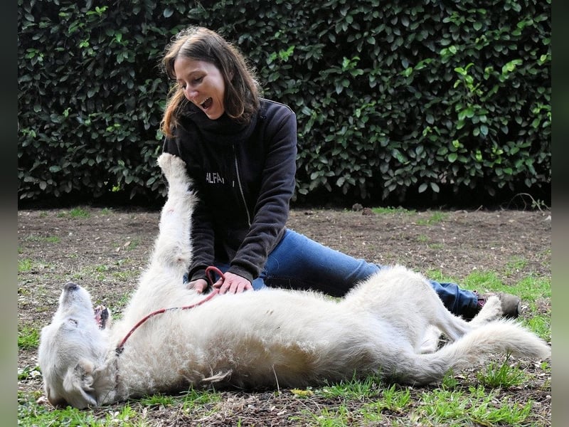 Ozlo - Riesenbaby sucht Freund fürs restliche Leben