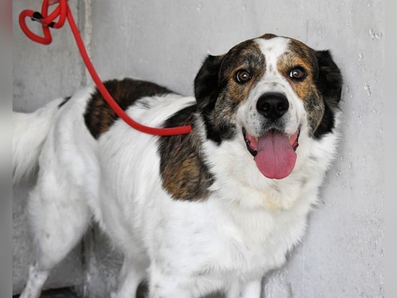 Jontar - Die Geschichte, die keiner liest