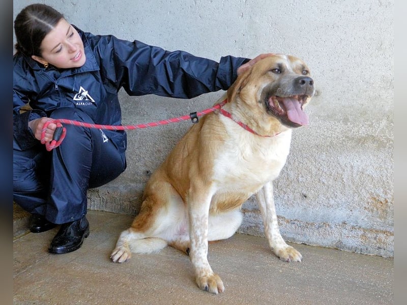 Savery - Drei Leben. Drei Chancen.