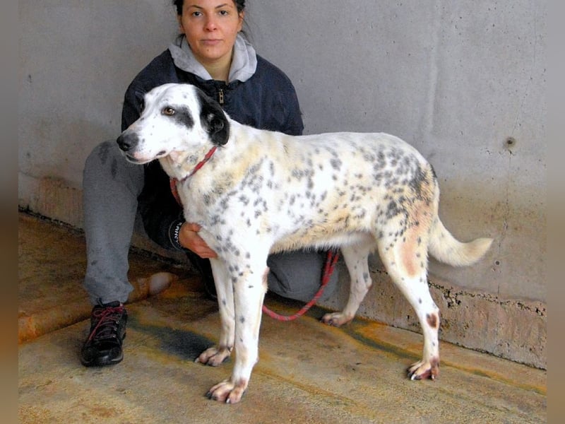 Arleene - Fachkraft für Betonpädagogik