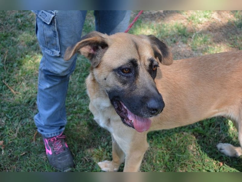 Adhara - Möchte ihre Energie versprühen