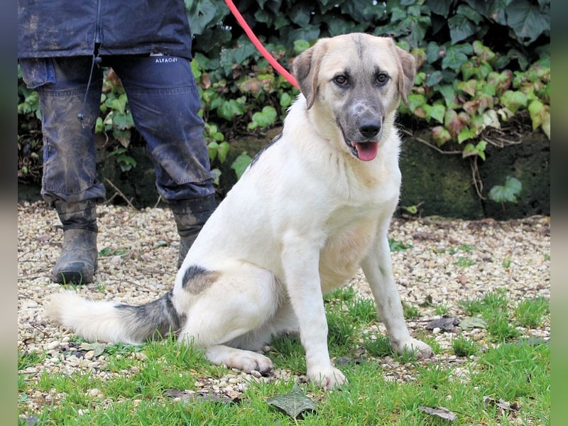 Skitter - Im gedimmten Licht, vor einer geschlossenen Tür