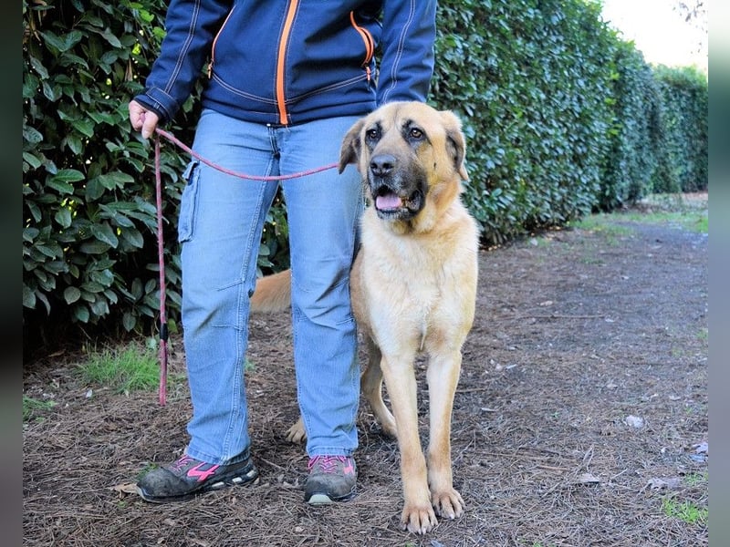 Adhara - Möchte ihre Energie versprühen