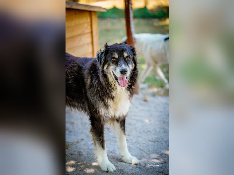 Kuno - Ein Ende in Sicht?