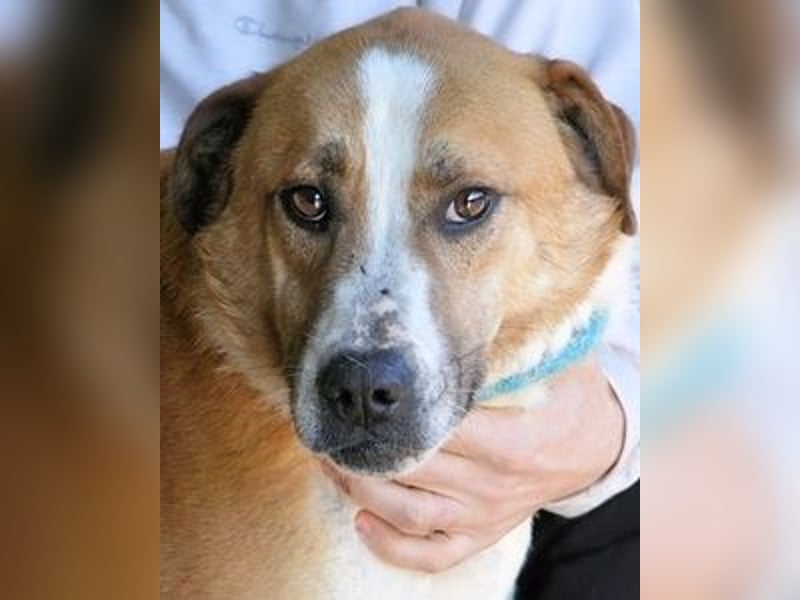 Scotlee - Drei Leben. Drei Chancen.