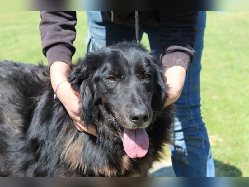 Quennel - Black velvet, oder...