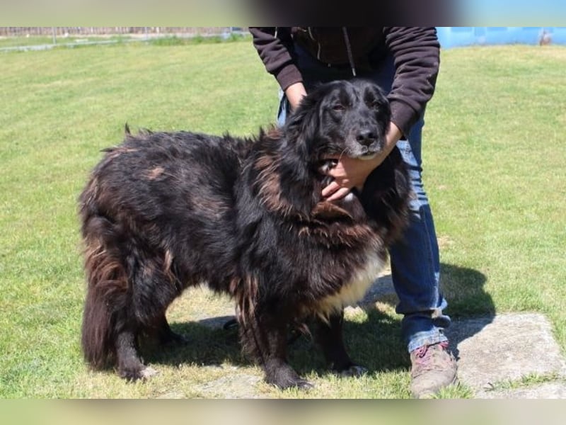 Quennel - Black velvet, oder...