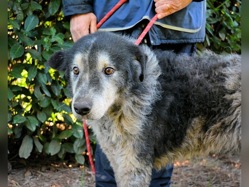 Declan - Irgendwie, irgendwo, irgendwann?