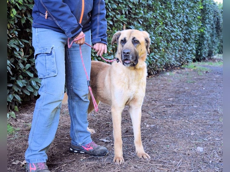 Adhara - Möchte ihre Energie versprühen