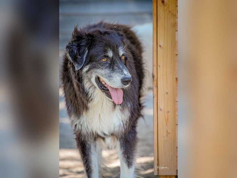 Kuno - Ein Ende in Sicht?