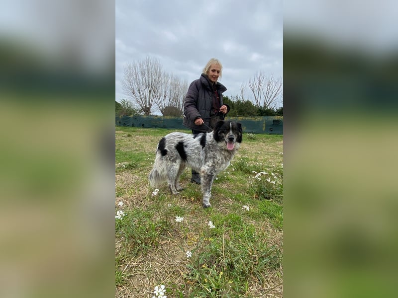 Ray - Zeig mir die Welt außerhalb des Zwingers...