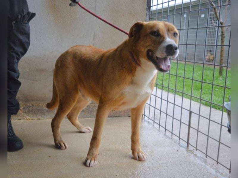 Spielberg - Der Dreh seines Lebens Spielberg - Der Dreh seines Lebens