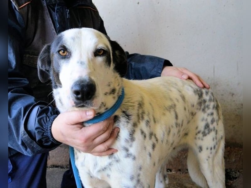 Arleene - ist voll bedingungsloser Liebe