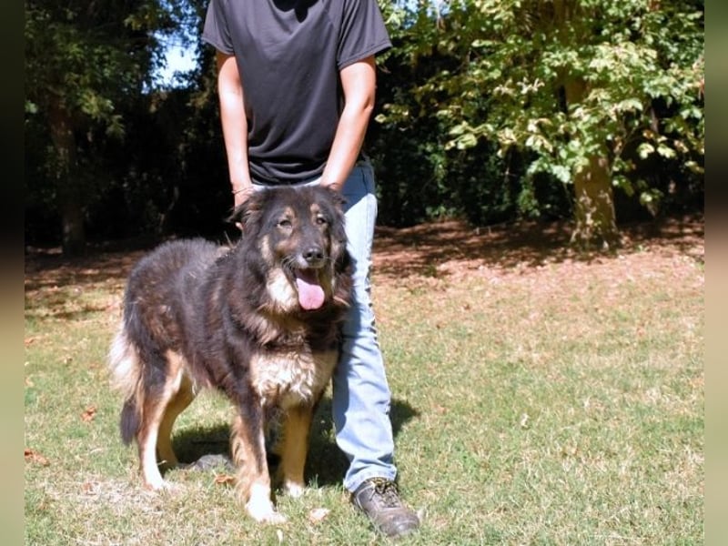 Carolita - und du - ein Dreamteam